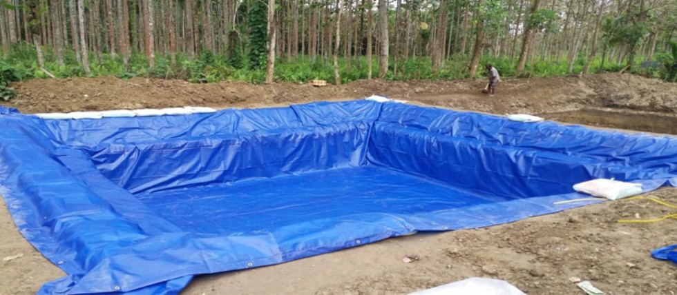 Cost-Effective and Long-Lasting Protection Through Tarpaulin